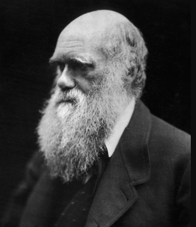 Retrato de Charles Darwin realizado por Julia Margaret Cameron